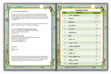 Senior Toddler - Tamil  Reader (Pre KG)