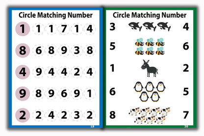 Activity Books Combo  5 - Alphabet Trace And Write, Comparing, Match Numbers, Number, Shadow Matching